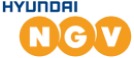 hyundai NGV